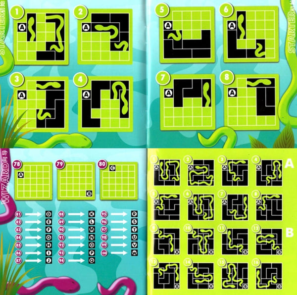Load image into Gallery viewer, Anaconda Brainteaser Game-CNF A