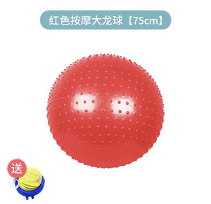 Exercise Ball Anti-Burst Yoga Ball CNF3 - HN Bazar 