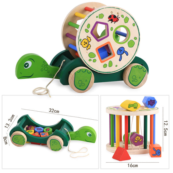Load image into Gallery viewer, Germany Design Imported From Ningbo - Turtle
