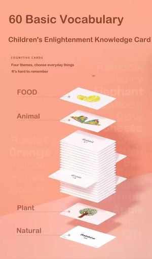 Mideer Early Learning Cognitive Cards - HN Bazar 