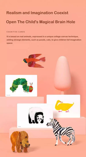 Mideer Early Learning Cognitive Cards - HN Bazar 