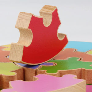 3D Wooden Puzzle - Circle  CNF1 - HN Bazar 