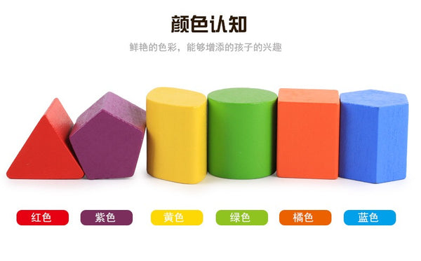 Load image into Gallery viewer, Germany Design Imported From Ningbo - Turtle
