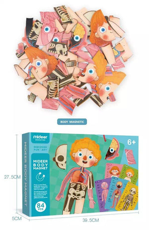 Mideer Human Cognition Puzzle - HN Bazar 