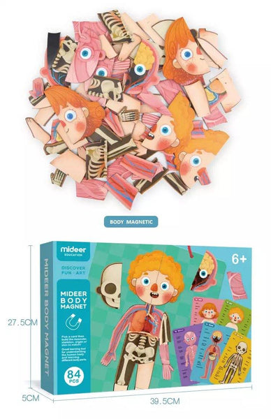 Load image into Gallery viewer, Mideer Human Cognition Puzzle - HN Bazar 
