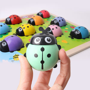 Simulation Fun Ladybug Digital English Matching Game - CNF7