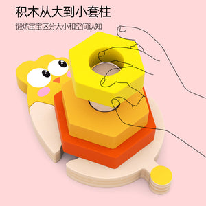 Wooden Chick Assembled With Gradient Colours Blocks Set - CNF7