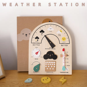 Weather Station Learning Observation Station Scientific Exploration Tool - CNF8