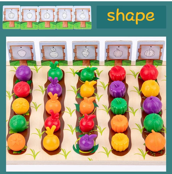 Load image into Gallery viewer, Wooden Veggie Farm Sorting Set CNF7
