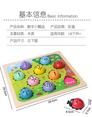 Simulation Fun Ladybug Digital English Matching Game - CNF7