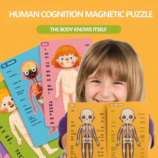 Load image into Gallery viewer, Mideer Human Cognition Puzzle - HN Bazar 
