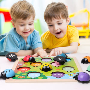 Simulation Fun Ladybug Digital English Matching Game - CNF7