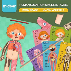 Mideer Human Cognition Puzzle - HN Bazar 