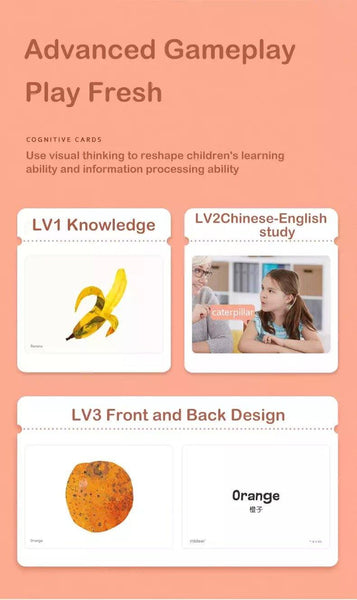 Load image into Gallery viewer, Mideer Early Learning Cognitive Cards - HN Bazar 
