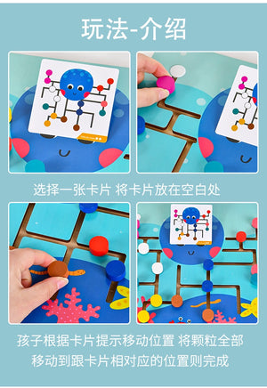Octopus Maze Matching Cards -CNF8