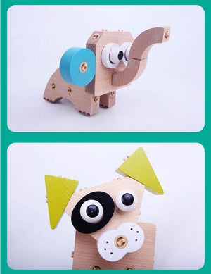 Assembled Building Block Animal Model Set CNF1 - HN Bazar 