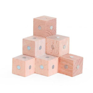 10Pcs Wooden Magenetic Cubic Bricks 2.5 Cm CNF5 - HN Bazar 