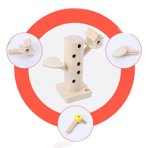 Woodpecker Catch The Worms Game CNF5