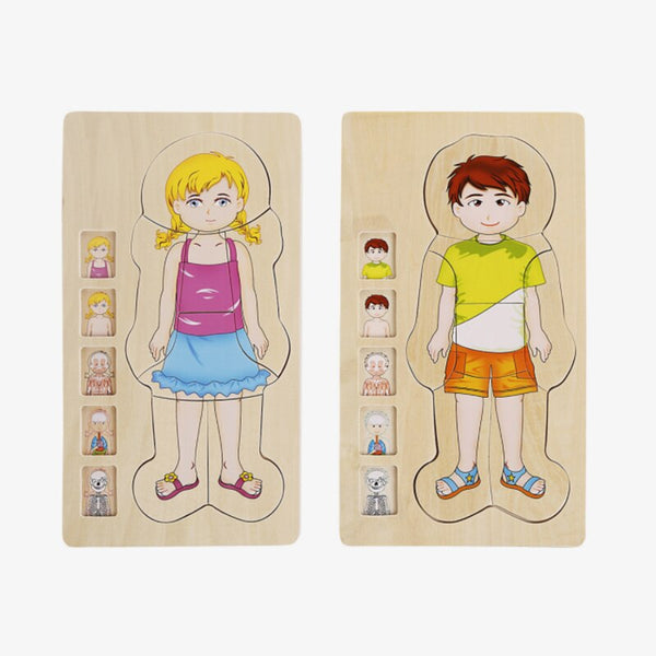 Load image into Gallery viewer, Wooden Body Cognition Baby Puzzles CNF6
