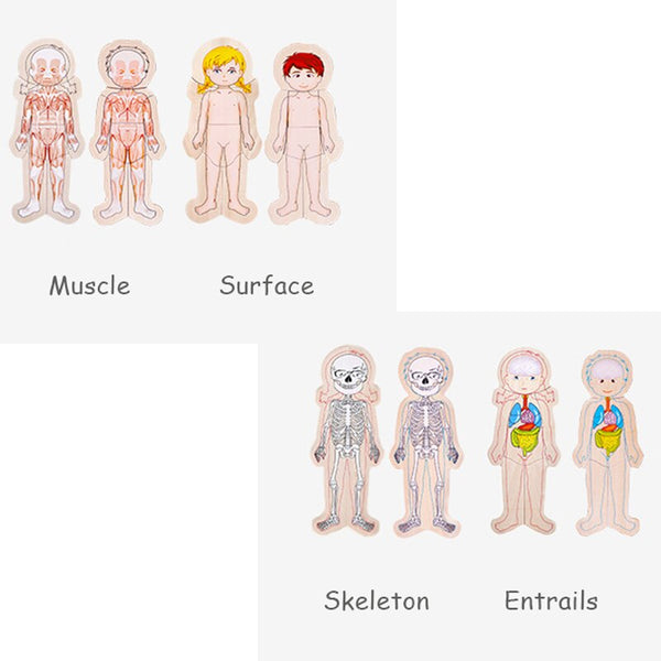 Load image into Gallery viewer, Wooden Body Cognition Baby Puzzles CNF6
