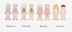 Wooden Body Cognition Baby Puzzles CNF6