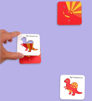 3D Cognition Puzzle CNF1 - HN Bazar 