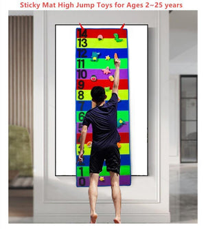 Portable Sticky Mat + Sticky Balls CNF3 - HN Bazar 