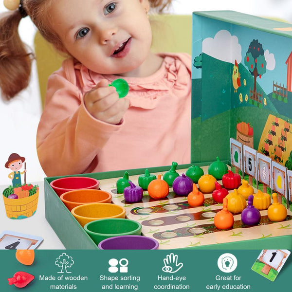 Load image into Gallery viewer, Wooden Veggie Farm Sorting Set CNF7

