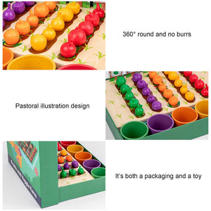 Wooden Veggie Farm Sorting Set CNF7