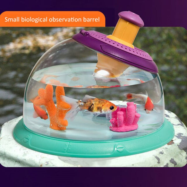 Load image into Gallery viewer, Observation Tank With 5x Magnifier For Watching Killi Fish Plants Insect

