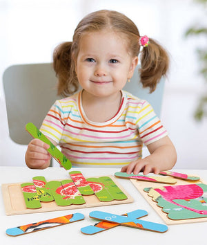 Creative Strip Puzzle CNF5 على الوجهين