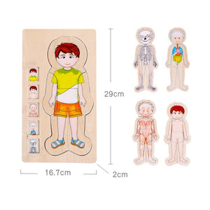 Wooden Body Cognition Baby Puzzles CNF6