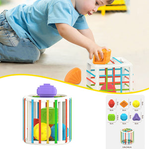 Intellectual Development Baby Toy AE