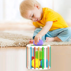 Intellectual Development Baby Toy AE