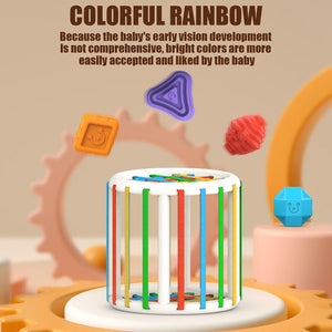 Intellectual Development Baby Toy AE