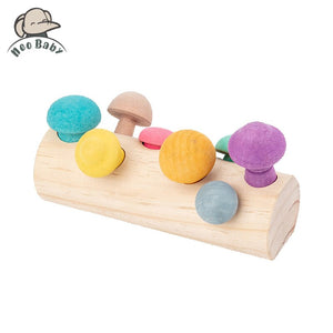 Mushroom Picking Educational Rainbow Shape Matching - CNF8
