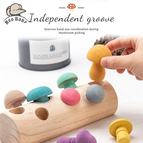 Load image into Gallery viewer, Mushroom Picking Educational Rainbow Shape Matching - CNF8
