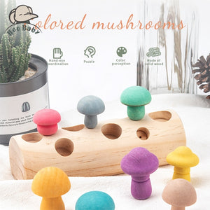 Mushroom Picking Educational Rainbow Shape Matching - CNF8