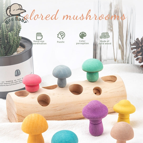 Load image into Gallery viewer, Mushroom Picking Educational Rainbow Shape Matching - CNF8
