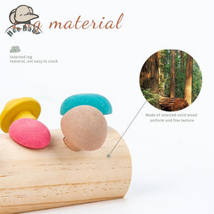 Mushroom Picking Educational Rainbow Shape Matching - CNF8