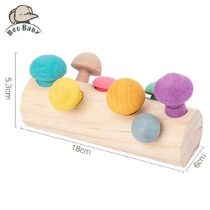 Mushroom Picking Educational Rainbow Shape Matching - CNF8