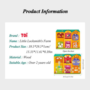 TOI Key Unlock Box Toy