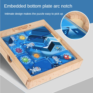 Eliminate Montessori Puzzle CNF5