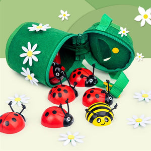 Counting Ladybug Children Number CNF5