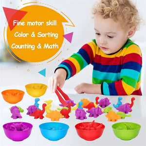 36-56 Pcs Montessori Sorting and Counting Set -AE