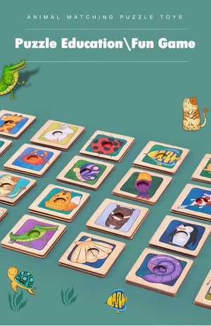 2 in 1 Shadow and Skin Matching Game
