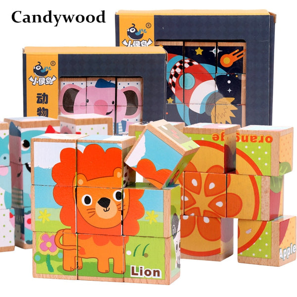 Load image into Gallery viewer, Beech Wooden Cartoon Animal Puzzle Toys 9pcs Single 6 Sides CNF5
