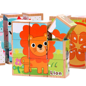 Beech Wooden Cartoon Animal Puzzle Toys 9pcs Single 6 Sides CNF5